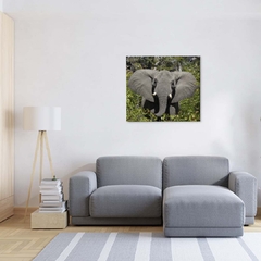 Quadro Decorativo Elefante 2 - SigmaDecor