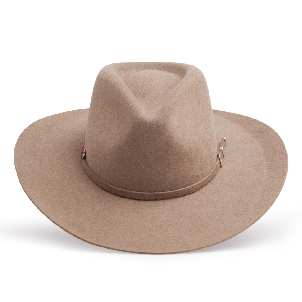 chapéu masculino, chapéu feltro, chapéu violeiro