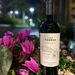 Finca Ferrer Cabernet Franc Gift Box en internet