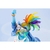 Bishoujo Series: My Little Pony - Rainbow Dash 1/7 - LIMITED EDITION - loja online