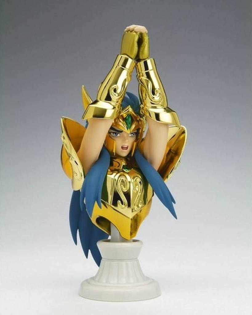 Saint Seiya Soul of Gold Myth Cloth EX - Aquarius Camus