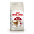 ALIMENTO ROYAL CANIN FIT 32