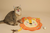 GIGWI JOYFUL SPACE CAT PLAY MAT LION - comprar online