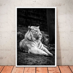 WHITE TIGER en internet