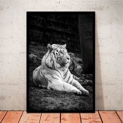 WHITE TIGER