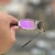 Juliet Tio 2 Lentes Purple - Kit Preto - comprar online