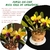 Curso Bolo Vaso de Orquídeas Cattleyas
