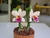 Curso Bolo Vaso de Orquídeas Cattleyas - comprar online