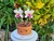 Curso Bolo Vaso de Orquídeas Cattleyas na internet