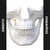 Placa 2,0 Standard - Ancoragem Trava Fio L 2 Furos - G & M orthodontics equipamentos ortodonticos LTDA