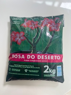 SUBSTRATO PARA PLANTIO DE ROSA DO DESERTO - loja online