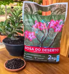 SUBSTRATO PARA PLANTIO DE ROSA DO DESERTO - comprar online