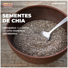 Chia em Grãos Ecobio Orgânica Alto Vácuo Antioxidante - 250g - comprar online