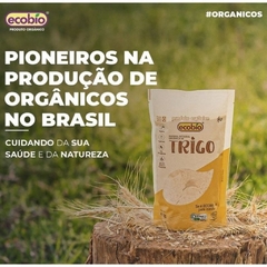 Kit 2 Farinhas De Trigo Integral Vegana Orgânica Ecobio 800g - Natu Gaio - Loja Especializada em Produtos Naturais e Orgânicos