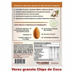 Granola de Castanhas Chips de Coco Sem Açúcar Uncooked 250g - comprar online