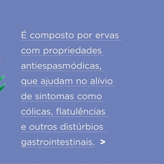 Chá Orgânico Boa Digestão Iamaní 15 sachês - loja online