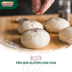 Imagem do Chia em Grãos Ecobio Orgânica Alto Vácuo Antioxidante - 250g