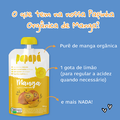 Papinha Orgânica Manga Papapá 100g na internet