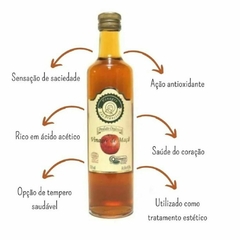 Vinagre Maçã Orgânico São Francisco 500ml Temperar Emagrecer Jejum na internet