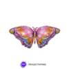 Globo Mariposa Multicolor 24" x5