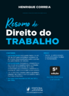 RESUMO DE DIREITO DO TRABALHO (2024)