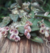 Acianthera recurva bicolor