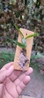 Maxillaria cerifera na internet