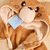 Macacão Bichinhos com Capuz Urso Hope - Bege - Novo Bebê | Loja Roupa de Bebê Online, Enxoval de Bebê, Presentes