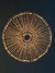 Mandala de Fibra de Bacaba Amazônica com Sementes Coloridas - 38 cm na internet