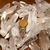500Gr Raiz de Lemuria ou Semente Lemuria de Cristal Bruto Natural na internet