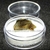 Labradorita Canadense Mineral Natural No Estojo Cod 114219