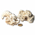 Coral Marinho Branco Grande Bruto Natural Para Coleção - comprar online