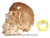 Crânio Fumê Pedra Lapidado Manualmente Artesanal Cod CF6254 - comprar online
