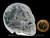 Crânio Quartzo Cristal Pedra Lapidado Artesanal Cod CC4309 - comprar online