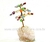 Árvore Da Felicidade Pedra Rolada Mista na Drusa REFF AD9518 - buy online