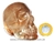 Crânio Fumê Pedra Lapidado Manualmente Artesanal Cod CF6254