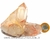 Drusa Cristal Tangerina Bruto Ideal Colecionador Cod 108945