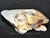 Drusa de Cristal Exótica P/Coleção Pedra Especial Cod 108617