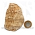 Aragonita do Peru Pedra Bruto Mineral de Garimpo Cod 122989