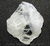 Petalita ou Castorita Pedra Extra Natural Garimpo Cod 114932