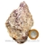 Lepidolita Mica Natural Mineral P/Colecionador Cod 124259