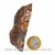 Bronzita Pedra Bruta Brilho Metalico Natural Cod 123213