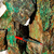 05kg Malaquita Verde Pedra Bruto Natural Para Lapidar Atacado na internet