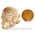 Cranio Citrino Natural Caveira Esculpido Skull Stone 119534