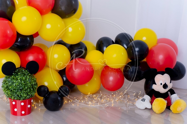 Fundo Fotográfico - Andrea Rocha - Mickey