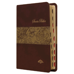 Biblia Reina Valera 1909 Mediana Letra Mediana Imitación Piel Café [VR055TI] - comprar en línea