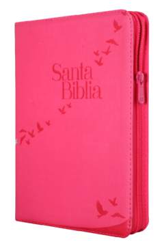 BIBLIA LETRA GIGANTE ROSA CON AYUDAS INTERACTIVAS EN CODIGO QR RVR086cZLGiPJR - comprar en línea