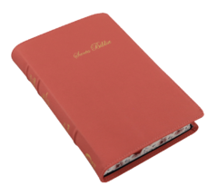 Biblia Reina Valera 1960 Mediana Letra Grande Curpiel Rosa Palo [RVR066cLGPJRTI] en internet