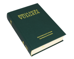 Biblia Sacra Vulgata Tapa Dura Verde [VULGATA] - Tu Biblia