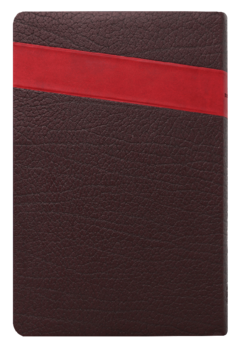 BIBLIA LETRA GRANDE CON PASTA COLOR MARRON Y ROJO RVR065cLGPJR - Tu Biblia